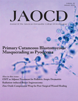Primary Cutaneous Blastomycosis Masquerading As Pyoderma