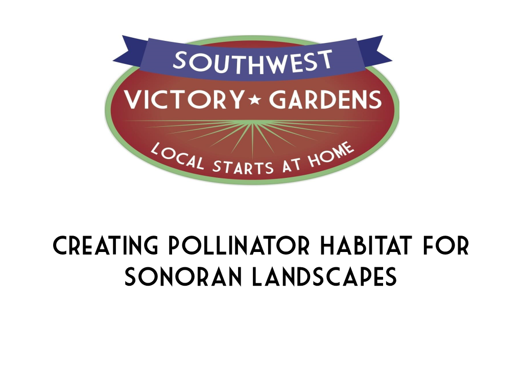 Pollinator Habitat in Sonoran Landscapes