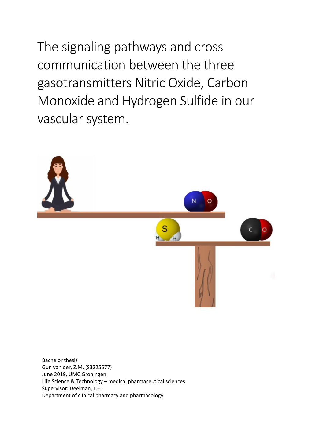 The Signaling Pathways and Cross Communication Between the Three Gasotransmitters Nitric Oxide, Carbon Monoxide and Hydrogen Sulfide in Our Vascular System