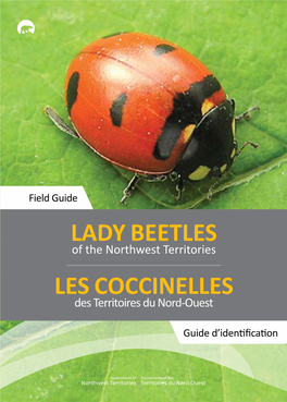 How to Look for Lady Beetles / Comment Trouver La Coccinelle