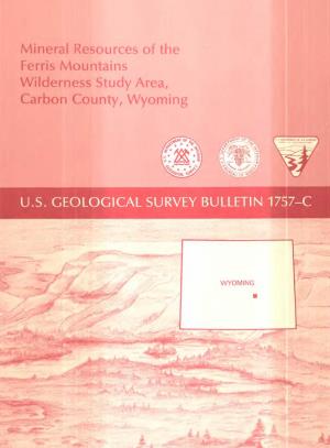 Mineral Resources of the Ferris Mountains Wilderness Study Area, Carbon County, Wyoming