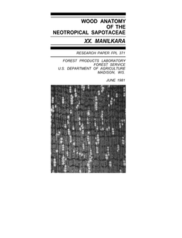 Wood Anatomy of the Neotropical Sapotaceae Xx