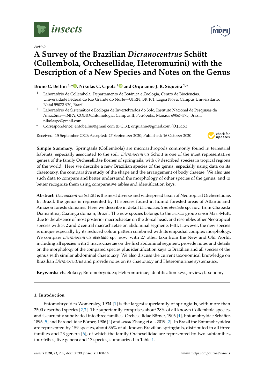 A Survey of the Brazilian Dicranocentrus Schött (Collembola, Orchesellidae, Heteromurini) with the Description of a New Species and Notes on the Genus