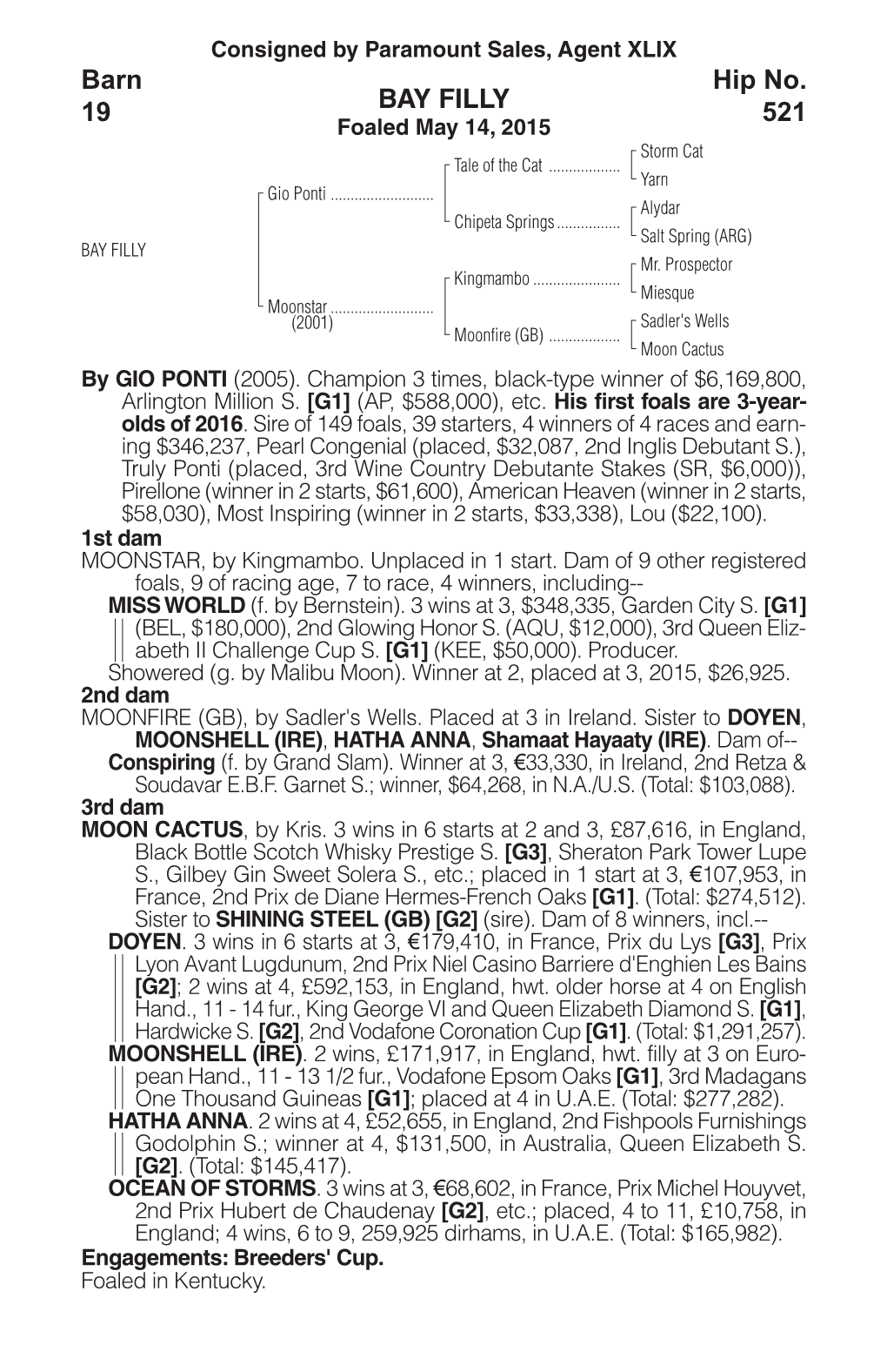 BAY FILLY Barn 19 Hip No