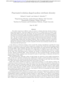 Punctuated Evolution Shaped Modern Vertebrate Diversity