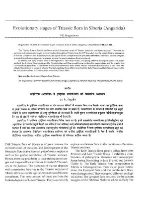 Evolutionary Stages of Triassic Flora in Siberia (Angarida)