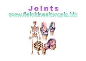 Immovable Joints 2)