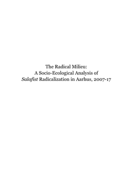 The Radical Milieu: a Socio-Ecological Analysis of Salafist Radicalization in Aarhus, 2007-17