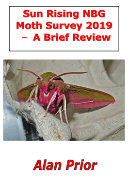 Moth Survey 2019