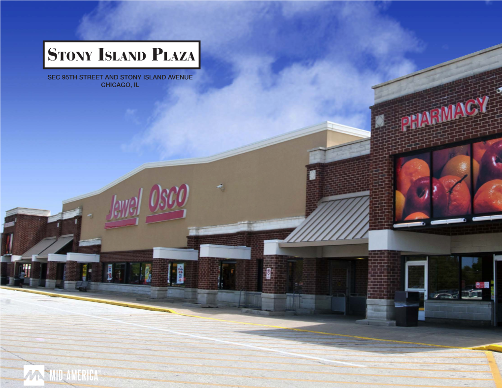 Stony Island Plaza