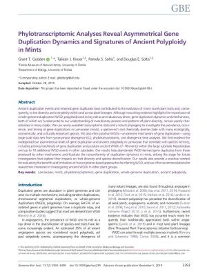 Phylotranscriptomic Analyses Reveal Asymmetrical Gene Duplication Dynamics and Signatures of Ancient Polyploidy in Mints