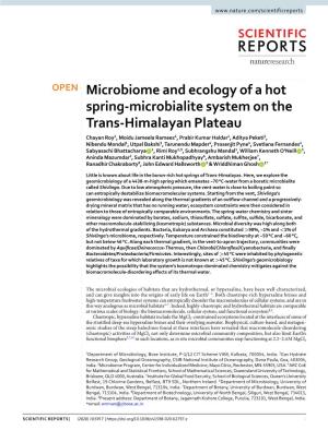 Microbiome and Ecology of a Hot Spring-Microbialite System on The