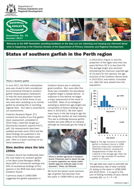Status of Southern Garfish in the Perth Region in 2010-2011 (Figure 1) and the Proportion of Fish Aged More Than Two Years Fell from 30 % to Less Than 5%