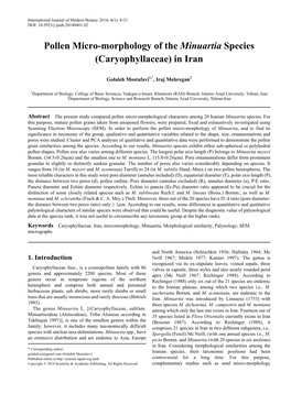 Caryophyllaceae) in Iran