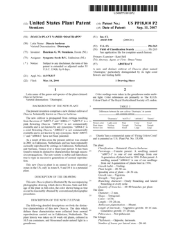 (12) United States Plant Patent (10) Patent N0.: US PP18,010 P2 Stemkens (45) Date of Patent: Sep