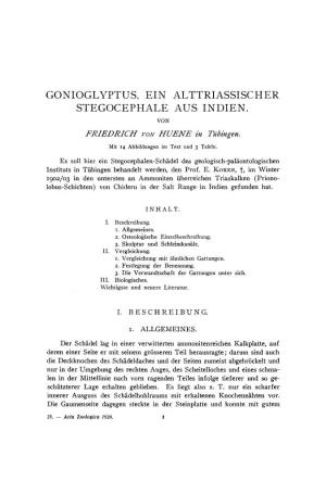 Gonioglyptus, Ein Alttriassischer Stegocephale