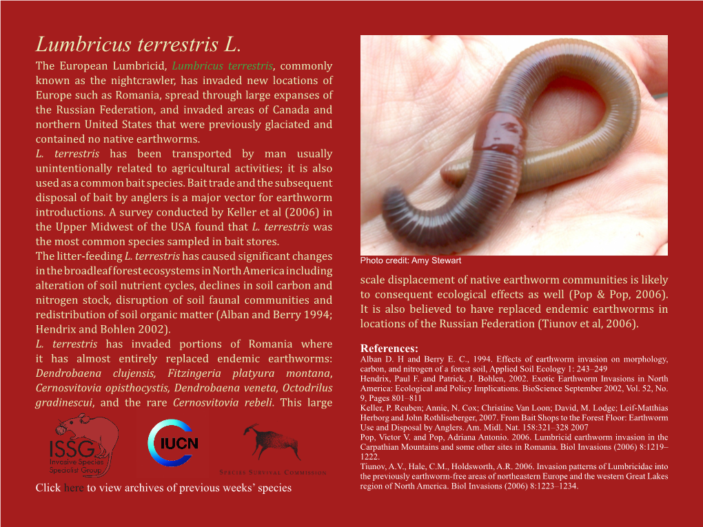 Lumbricus Terrestris L