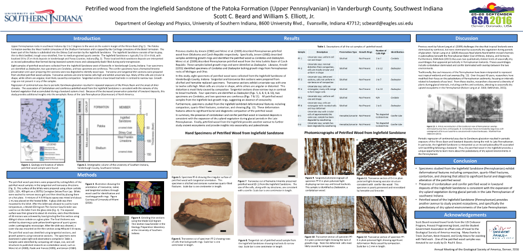 Petrified Wood from the Inglefield Sandstone of the Patoka Formation (Upper Pennsylvanian) in Vanderburgh County, Southwest Indiana Scott C