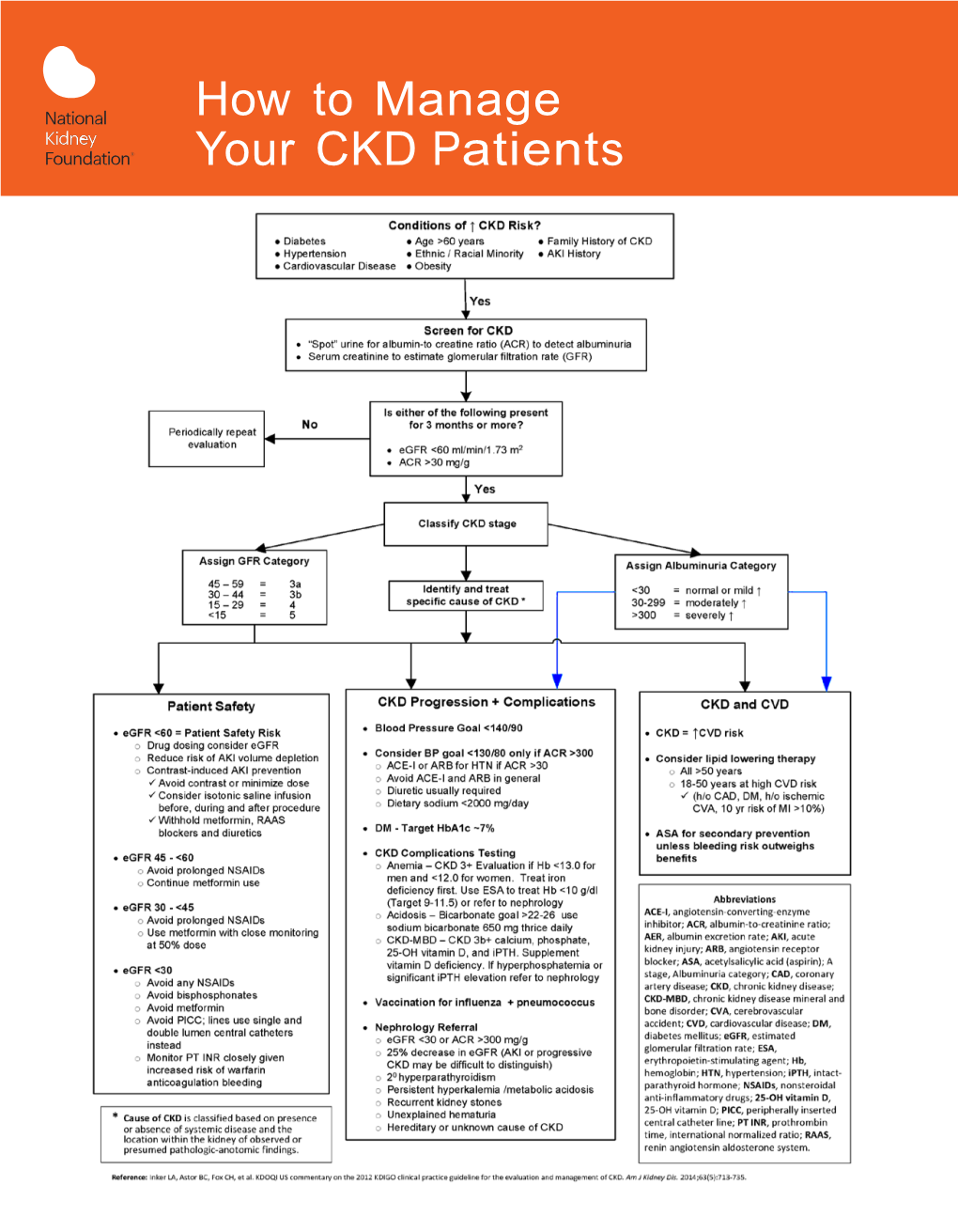 How to Manage Your CKD Patients