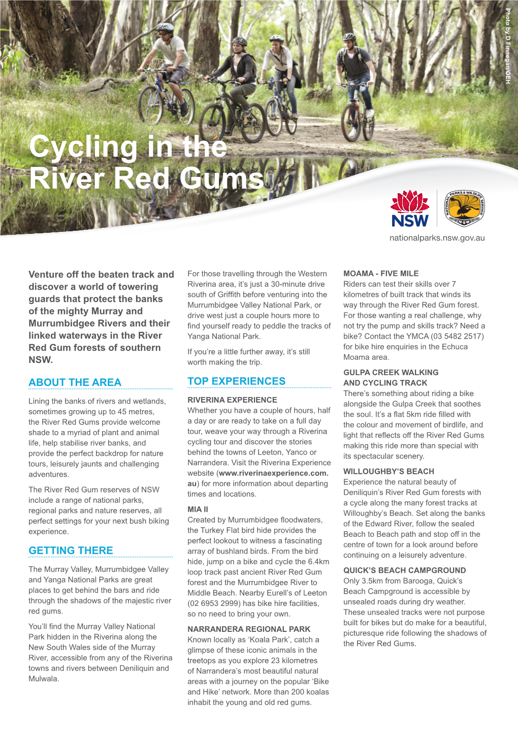 Cycling in the River Red Gums