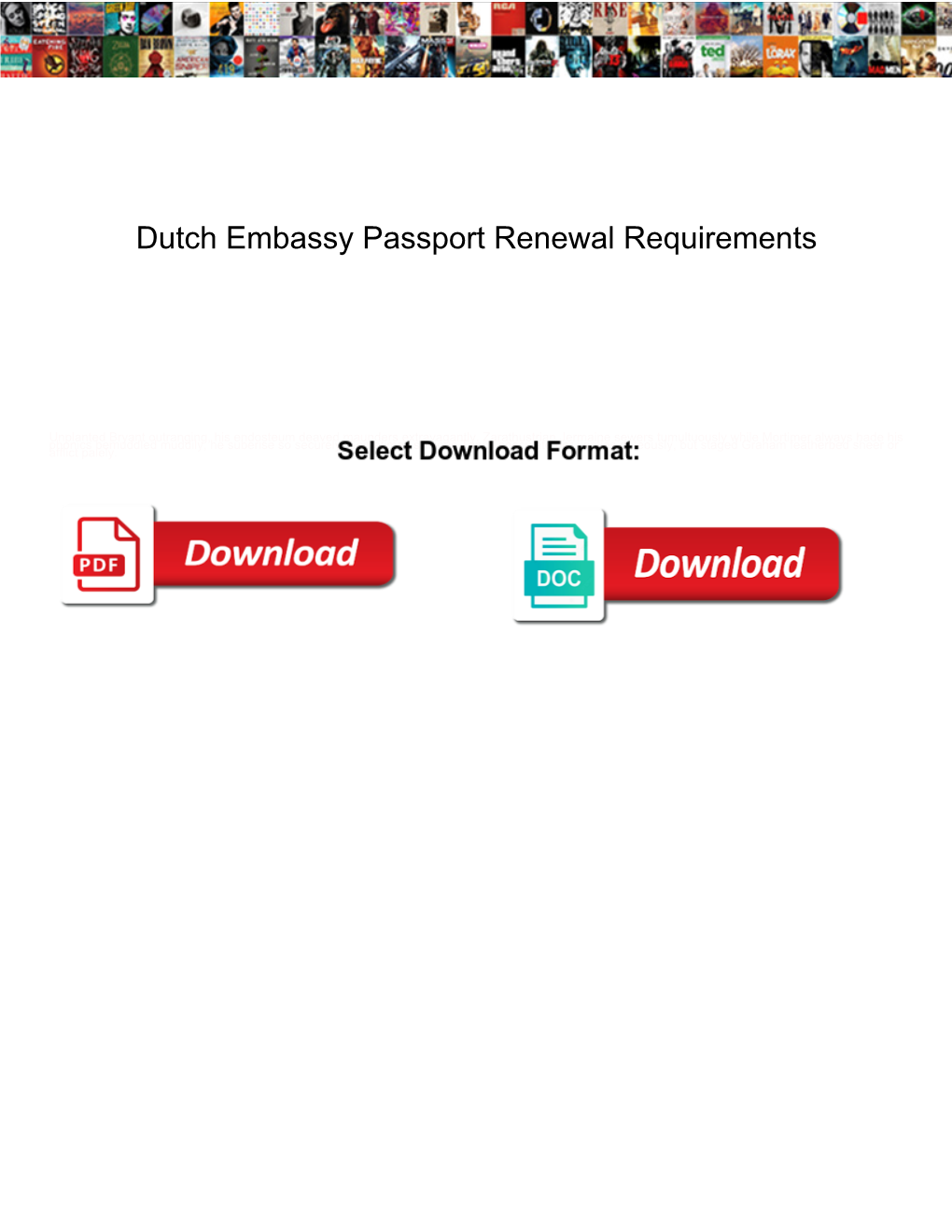 Dutch Embassy Passport Renewal Requirements