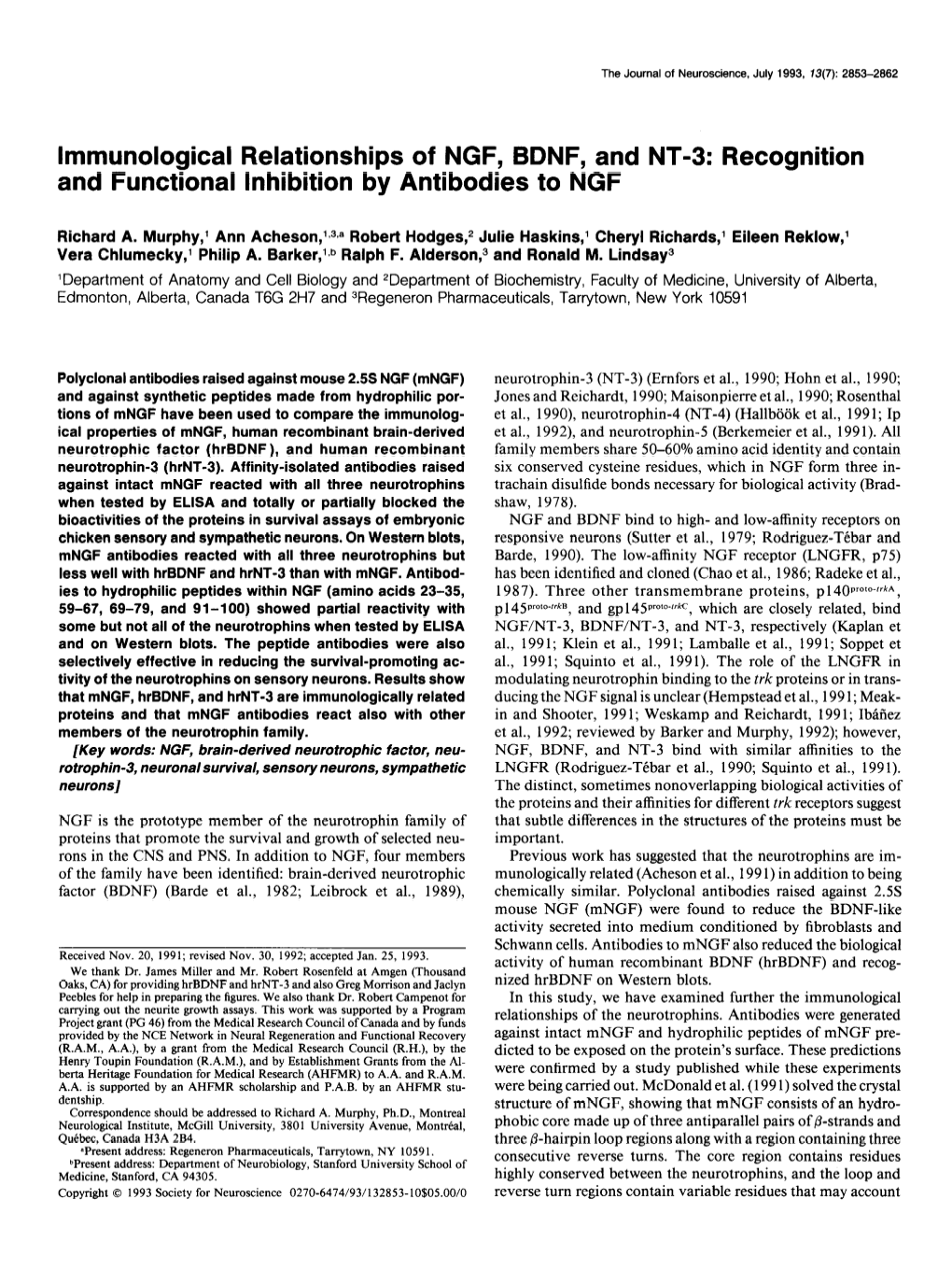 Immunological Relationships of NGF, BDNF, and NT-3: Recognition and Functional Inhibition by Antibodies to NGF