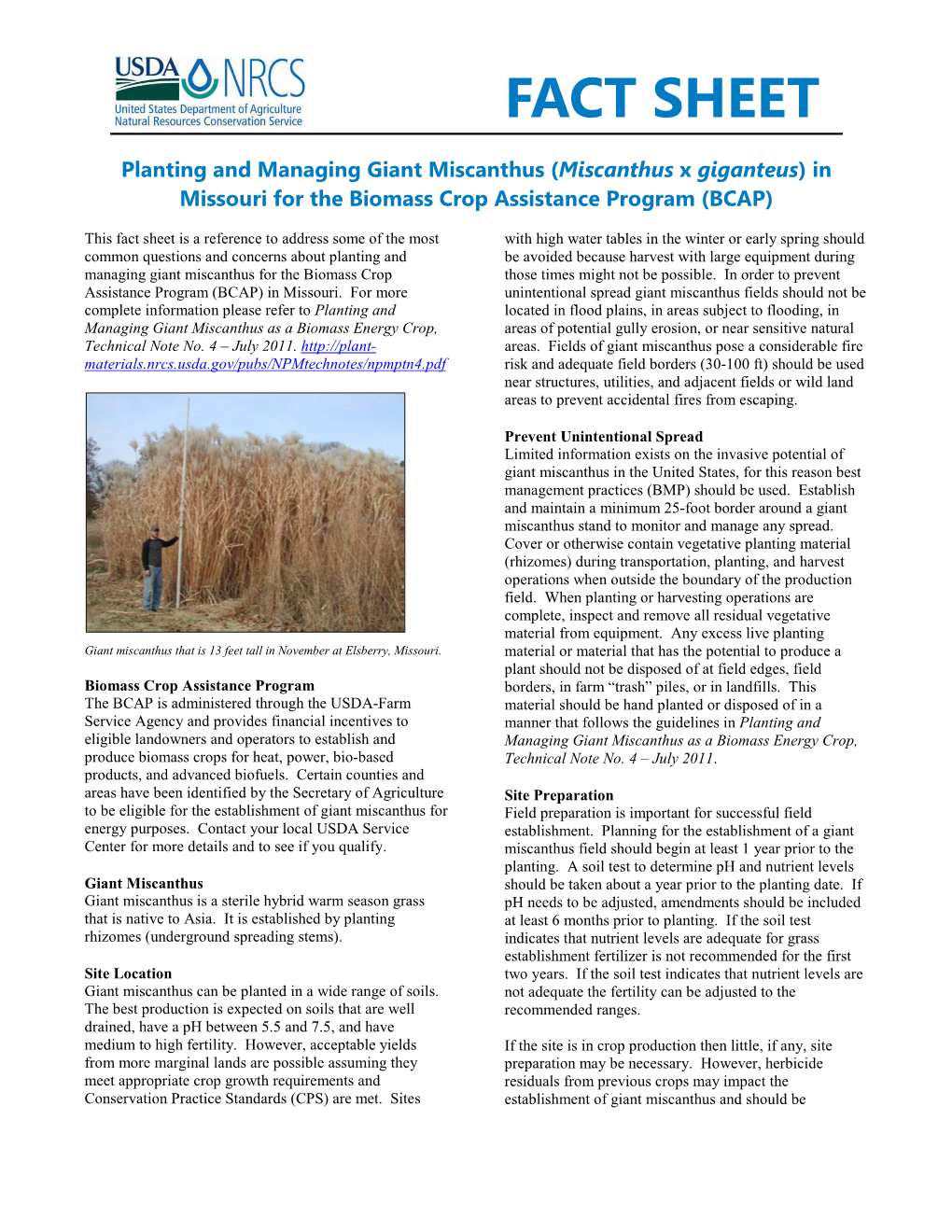 Plant Fact Sheet for Planting and Managing Giant Miscanthus (Miscanthus X Giganteus) in Missouri for the Biomass Crop Assistance