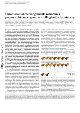 Chromosomal Rearrangements Maintain a Polymorphic Supergene Controlling Butterfly Mimicry