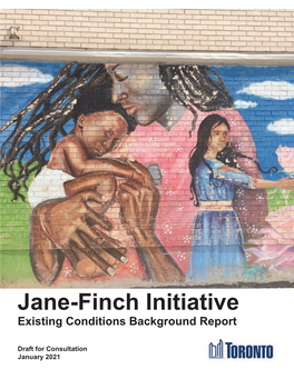 Jane-Finch Initiative Existing Conditions Background Report