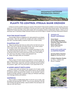 Plants to Control Stream Bank Erosion