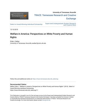 Welfare in America: Perspectives on White Poverty and Human Rights