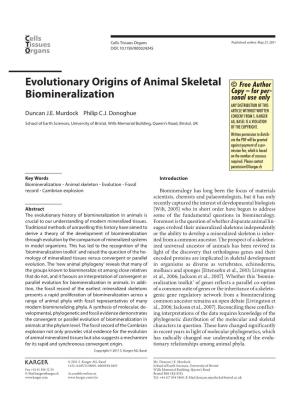 Evolutionary Origins of Animal Skeletal Biomineralization