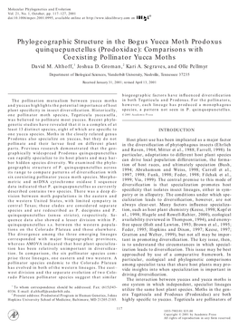 Phylogeographic Structure in the Bogus Yucca Moth Prodoxus Quinquepunctellus (Prodoxidae): Comparisons with Coexisting Pollinator Yucca Moths David M