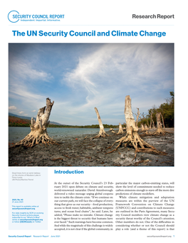The UN Security Council and Climate Change
