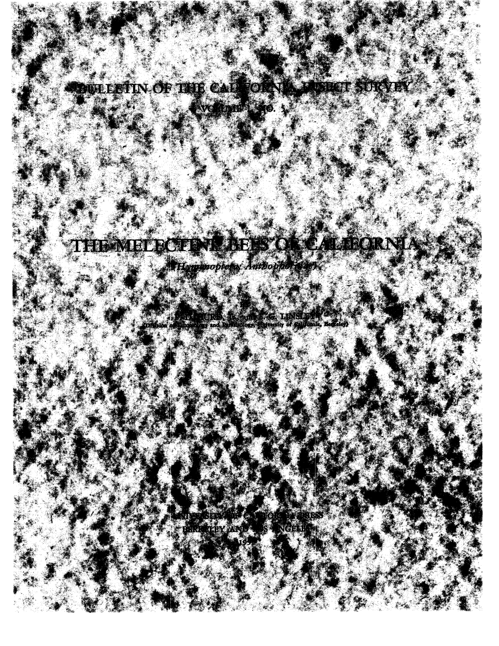 THE MELECTINE BEES of CALIFORNIA (Hymenoptera: Anthophoridae)