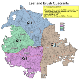 Leaf and Brush Quadrants