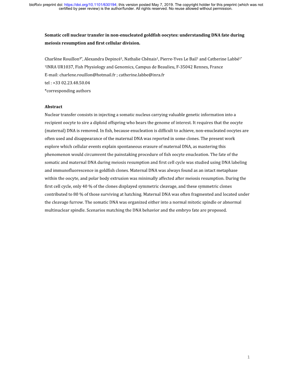 Somatic Cell Nuclear Transfer in Non-Enucleated Goldfish Oocytes: Understanding DNA Fate During Meiosis Resumption and First Cellular Division