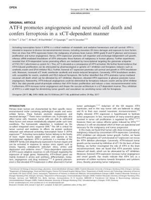 ATF4 Promotes Angiogenesis and Neuronal Cell Death and Confers Ferroptosis in a Xct-Dependent Manner