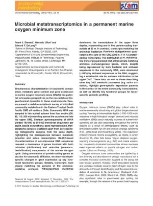 Microbial Metatranscriptomics in a Permanent Marine Oxygen