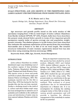 Scale Structure, Age and Growth in the Freshwater Carp, Labeo Calbasu (Pisces/Cyprinidae) from Harike Wetland, India