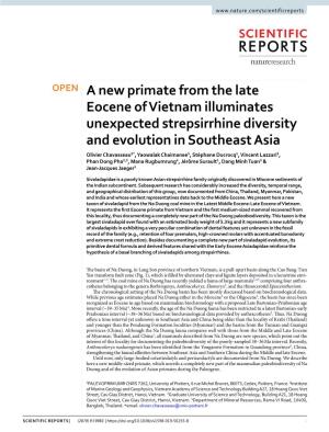 A New Primate from the Late Eocene of Vietnam Illuminates