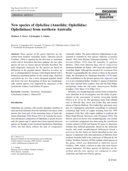Annelida: Opheliidae: Ophelininae) from Northern Australia