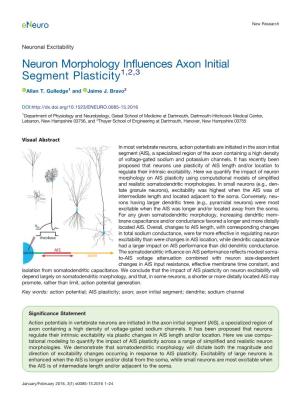 Neuron Morphology Influences Axon Initial Segment Plasticity1,2,3