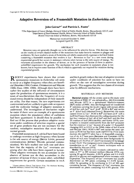 Adaptive Reversion of a Frameshift Mutation in Escherichia Coli