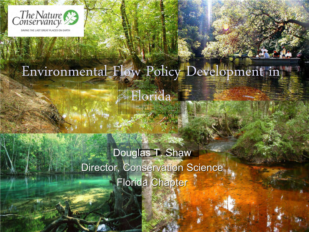 Environmental Flow Policy Development in Florida