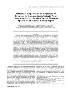 Pattern of Expression of Engrailed in Relation to Gamma-Aminobutyric Acid Immunoreactivity in the Central Nervous System of the Adult Grasshopper