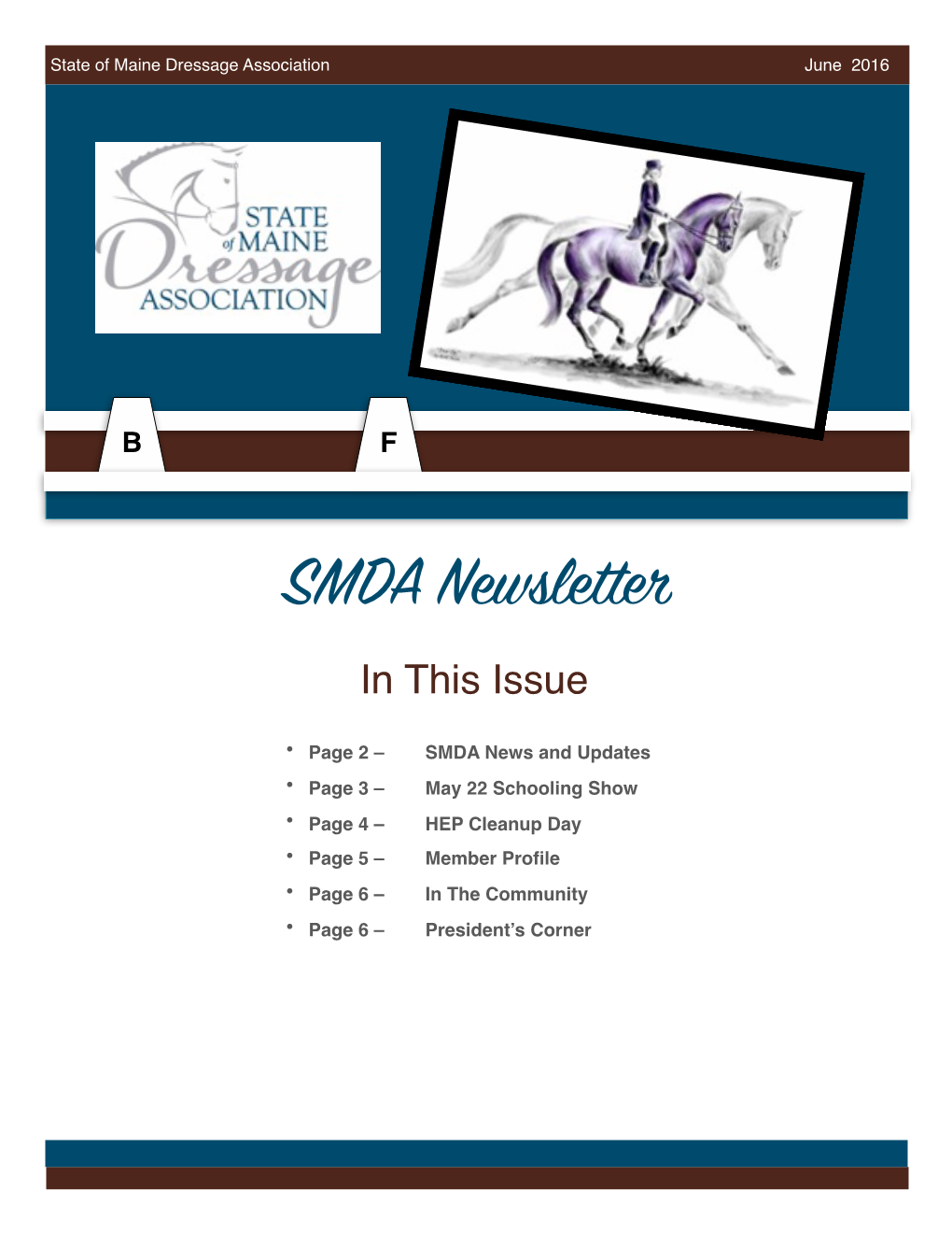 SMDA June 2016 Newsletter.Pages