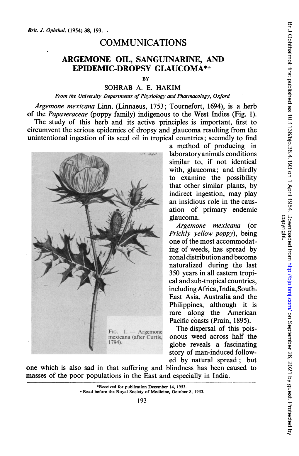 ARGEMONE OIL, SANGUINARINE, and EPIDEMIC-DROPSY GLAUCOMA*T by SOHRAB A