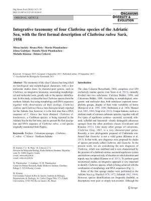 Integrative Taxonomy of Four Clathrina Species of the Adriatic Sea, with the First Formal Description of Clathrina Rubra Sarà, 1958