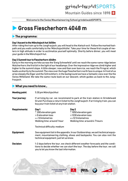 Gross Fiescherhorn 4048 M